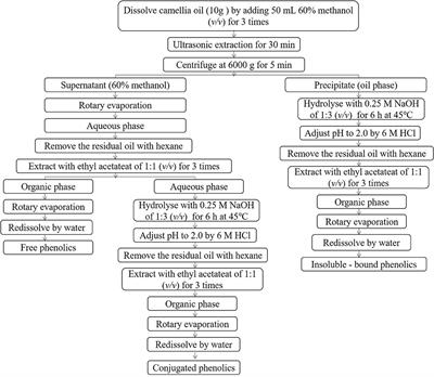 Effect of pretreatments of camellia seeds on the quality, phenolic profile, and antioxidant capacity of camellia oil